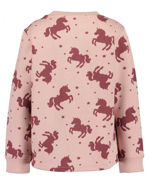 Sweater Einhorn 122